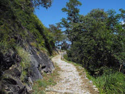 Il Giardino del Merlo