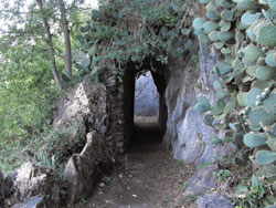 Il Giardino del Merlo