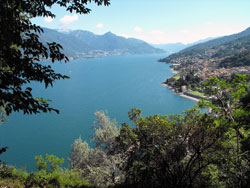 Il Giardino del Merlo