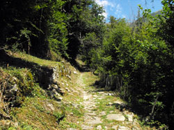 Sentiero per l'Abbazia (515 m) - Tremezzina | Anello della Val Perlana