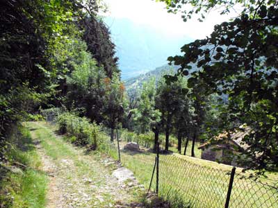 Via San Benedetto (730 m) - Tremezzina | Anello della Val Perlana