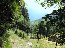 Via San Benedetto (730 m) - Tremezzina | Anello della Val Perlana
