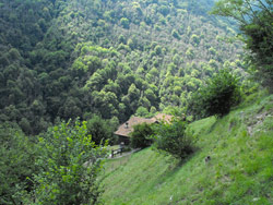 Via San Benedetto (520 m) - Tremezzina | Anello della Val Perlana