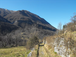 Via alla Santa (450 m) - Grandola ed Uniti | Gita da Menaggio al Rogolone