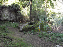 Masso Avello | Torno - Lago di Como