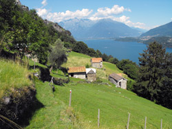 Alto Lario - Lago di Como