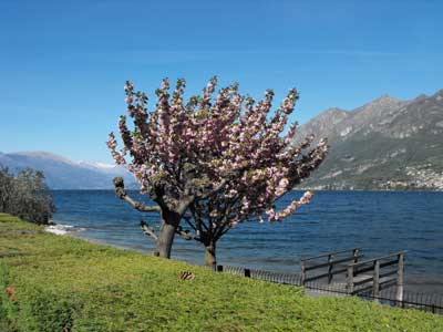 Il borgo di Onno a Oliveto Lario