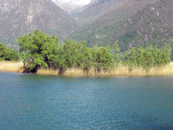 Pian di Spagna - Lago di Como