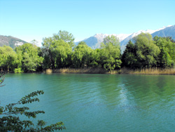 Pian di Spagna - Lago di Como