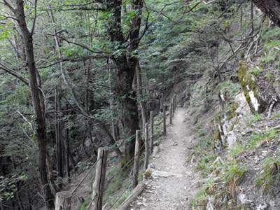 Strada Regia - 1ª Tappa | Sentiero Brunate - Capovico