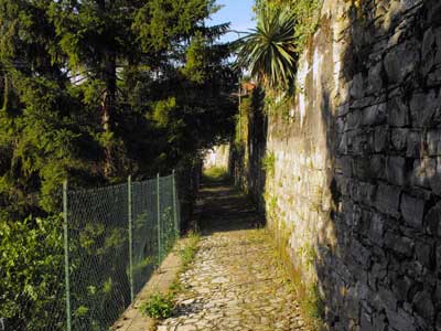 Strada Regia - 1ª Tappa | Via per Resina - Torno