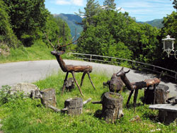 Via per Bisbino | Rovenna - Lago di Como