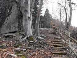 Sasso di Lentina - Bellagio