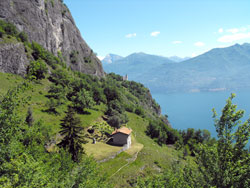 Salita al Sasso S.Martino (510 m) | Escursione da Griante al Sasso di San Martino