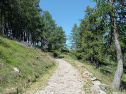 Strada militare del Legnoncino (1570 m) | Da Sueglio al Monte Legnoncino
