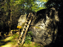 Avallo della Piazze (460 m) - Torno | Anello da Torno alla Pietra Pendula