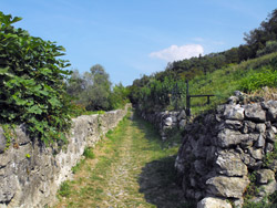 Via del Viandante (260 m) - Borbino | Anello Cascata del Cenghen