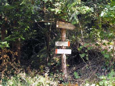 Strada dei Campelli (610 m) - Abbadia Lariana | Anello Cascata del Cenghen