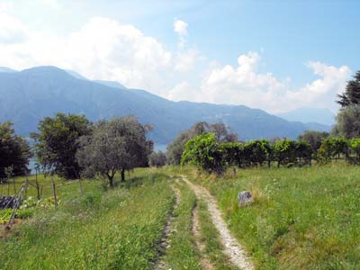 Via al Gaggio (305 m) - Abbadia Lariana | Anello Cascata del Cenghen