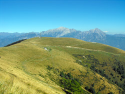 Alpe di Terrabiotta (1430 m) | Anello Monte San Primo