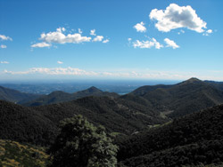 Passo Terrabiotta (1560 m) | Anello Monte San Primo