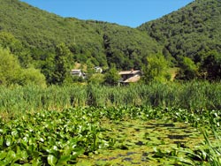 Stagno la Bolla - Monti di Erno (1070 m) | Anello da Veleso al monte San Primo