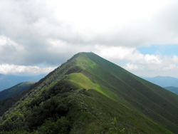 Cresta NW (1590 m) - Monte S.Primo | Anello da Veleso al monte San Primo