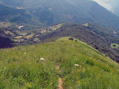 Cresta Sud (1440 m) - Monte S. Primo | Anello da Veleso al monte San Primo
