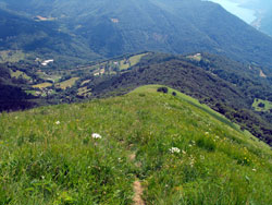 Cresta Sud (1440 m) - Monte S.Primo | Anello da Veleso al monte San Primo