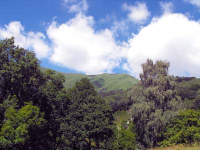 Monti di Là (1047 m) | Anello da Veleso al monte San Primo