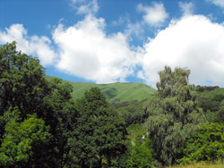 Monti di Là (1047 m) | Anello da Veleso al monte San Primo