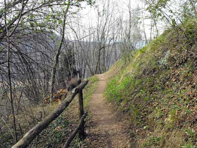 Sentiero del Viandante - 1ª Tappa | Sentiero per Rongio (Mandello Lario)
