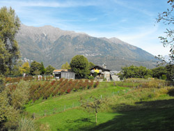 Sentiero del Viandante - 5ª Tappa | Dossa - Cosio Valtellino