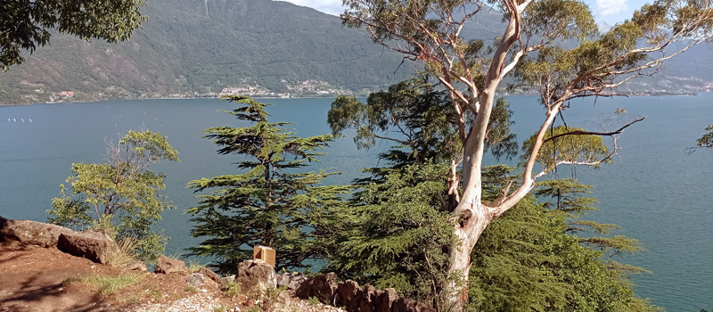 Il Giardino del Merlo a Musso e Dongo